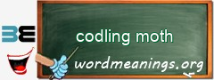 WordMeaning blackboard for codling moth